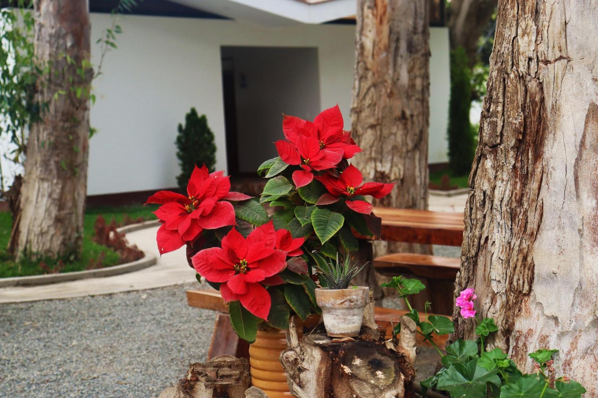 Los Andes - Restaurant & Bungalows Cieneguilla Ngoại thất bức ảnh